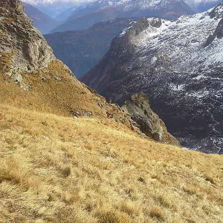 Lieu Secret Dans Les Alpes Suisses *